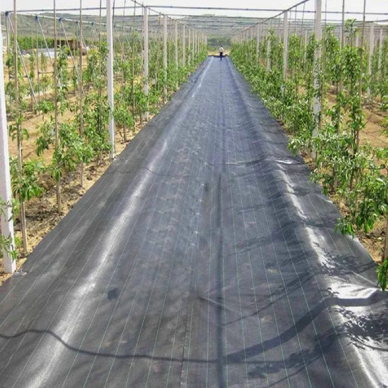 1 Rolle Garten- und Landschaftsstoff, Unkrautsperre, robuste Auffahrt, Gartenmatte, Polypropylen, Bodendecker, Blumen, Gemüse, Hochbeete, Rasen, Hof, Landschaftsbau, Schwarz