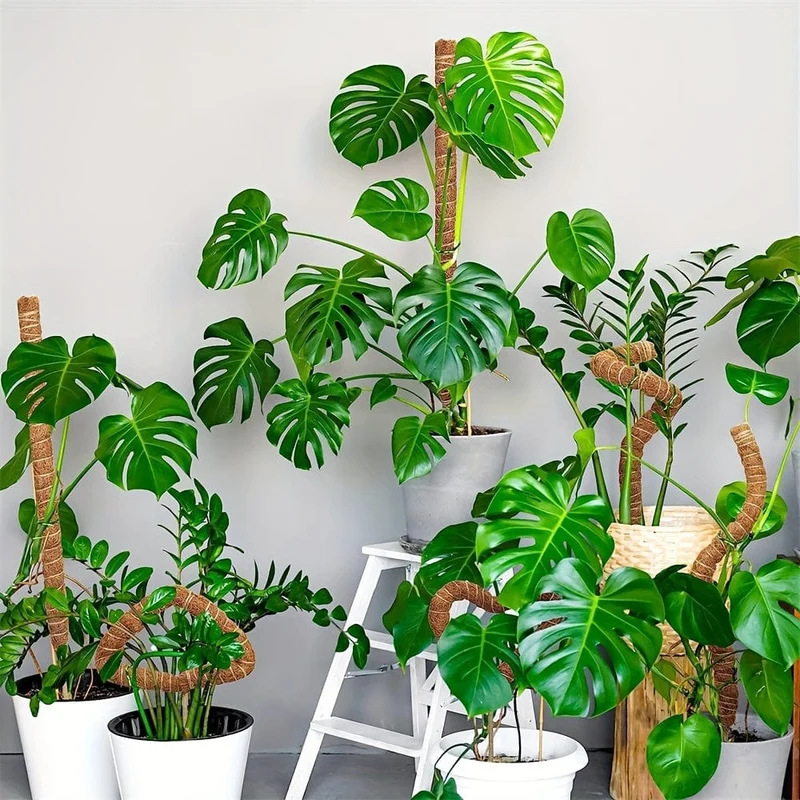 1 Stück DIY-förmige Pflanzen-Kletterstange, biegsamer brauner Kokosnuss-Stab, Pflanzen-Kletter-Rattan-Säule, Gartenpflanzen-Stützgestell, künstlicher brauner Kokosnuss-Stab
