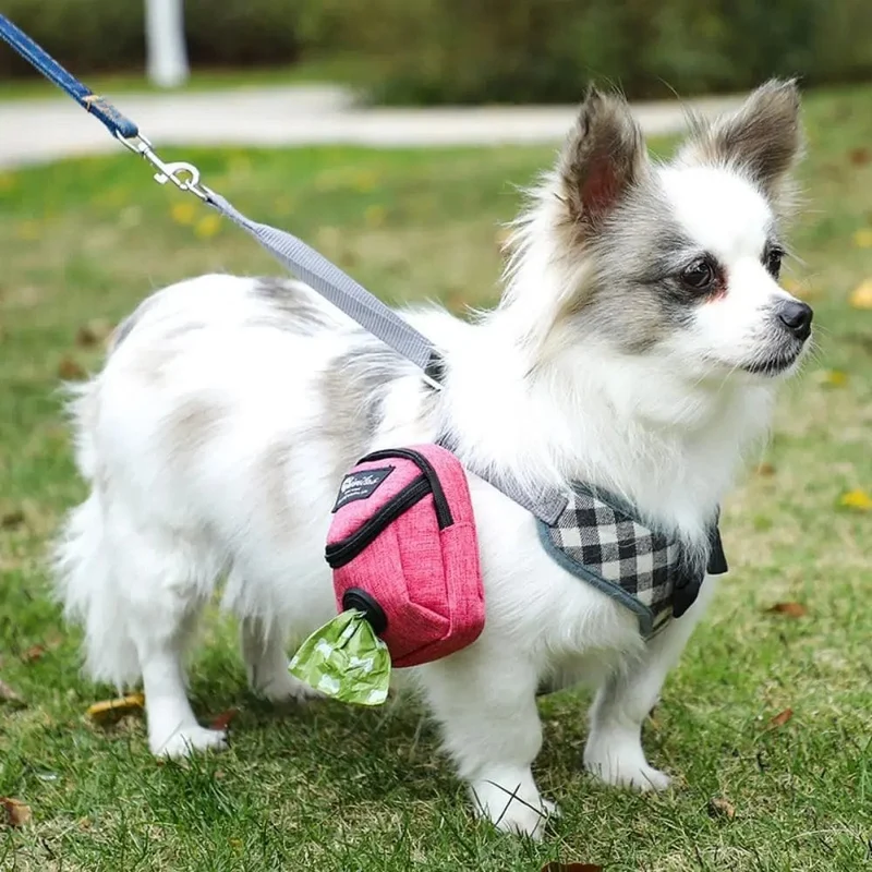Tragbare Hundetrainings-Leckerli-Tasche für den Außenbereich, Haustier-Leckerli-Tasche für Hunde, Welpen-Snack-Belohnungs-Hüfttasche, Hundekotbeutel, Hundeträgertaschen
