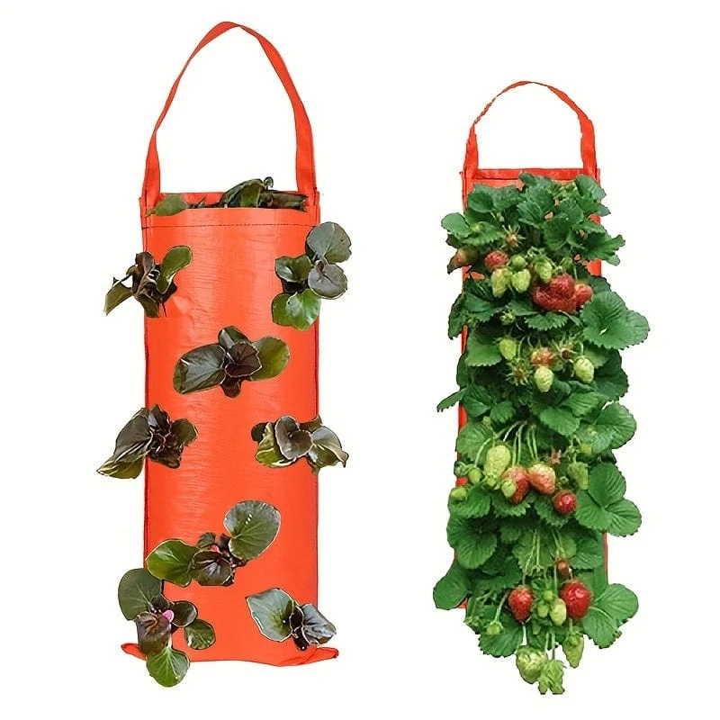 Züchten Sie köstliche Erdbeeren mit diesem 1-teiligen Pflanzbeutel zum Aufhängen – perfekt für den Außenbereich.