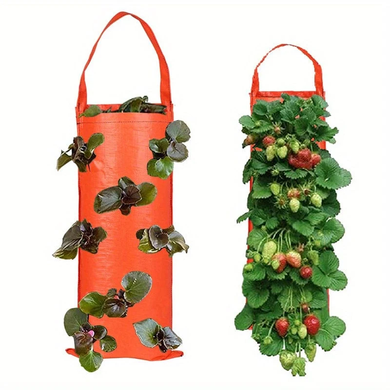 Züchten Sie köstliche Erdbeeren mit diesem 1-teiligen Pflanzbeutel zum Aufhängen – perfekt für den Außenbereich.