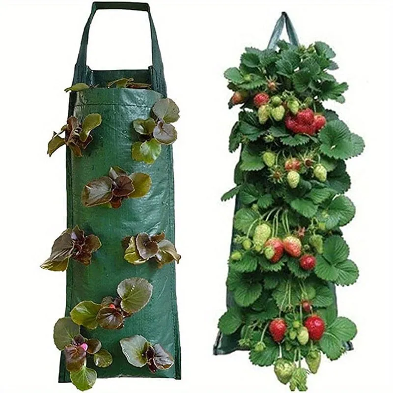 Züchten Sie köstliche Erdbeeren mit diesem 1-teiligen Pflanzbeutel zum Aufhängen – perfekt für den Außenbereich.