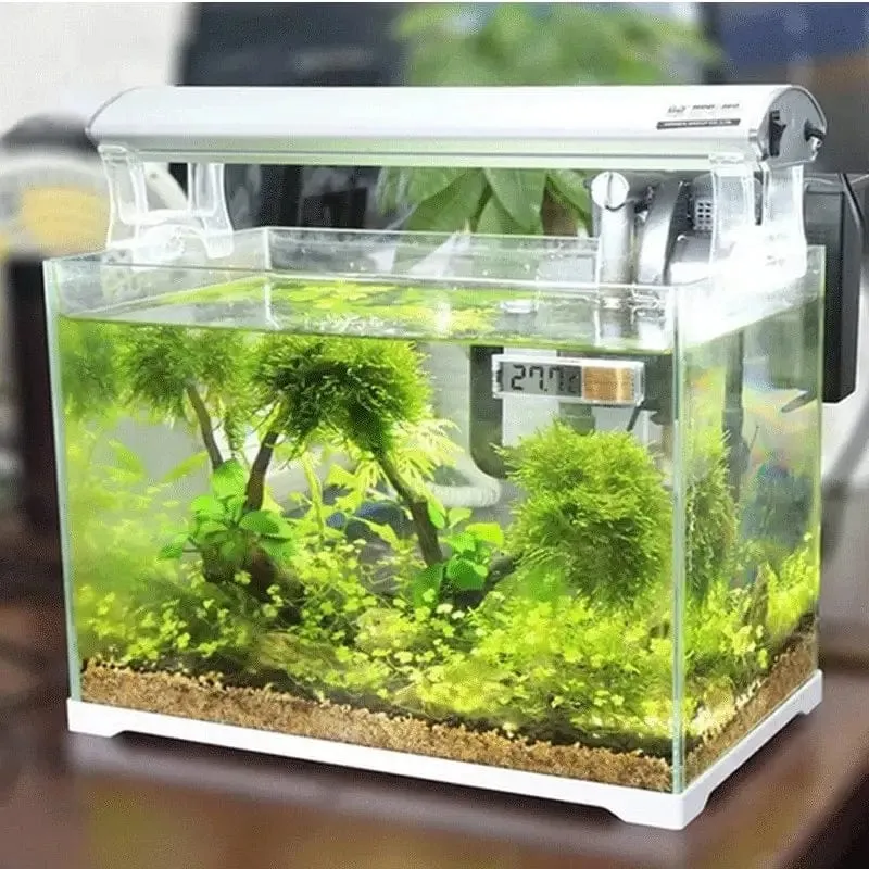 1 stücke Aquarium Thermometer Elektronische LCD Digital Aquarium Temperatur Messung Aquarium Temp Meter Aquarium Zubehör