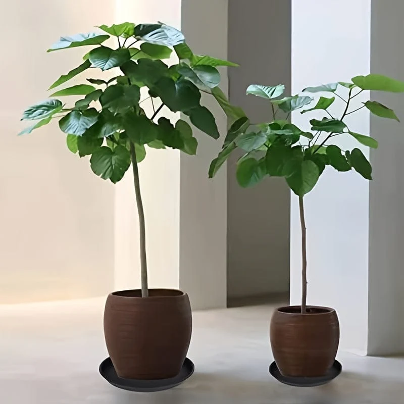 4 Packungen, 30.48 cm große Pflanzenuntersetzer, robuste Pflanzenuntersetzer 30.48 cm rund, Kunststoff-Pflanzenwasserschale für Töpfe, Pflanzenuntersetzer für den Innenbereich, Vogelbadschalen (schwarz)