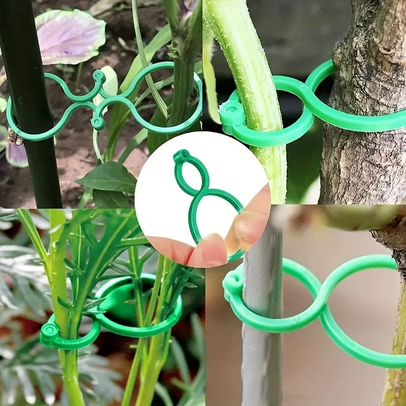 50 Stück, Gemüse-Tomaten-Ranken-Blumenklammern, Pflanzendrehklammern, Gartenpflanzen-Stützklammern, Pflanzenklammern und Gartenklammern für andere Weinpflanzen, für Kletterpflanzen, zum Sichern von Pflanzen