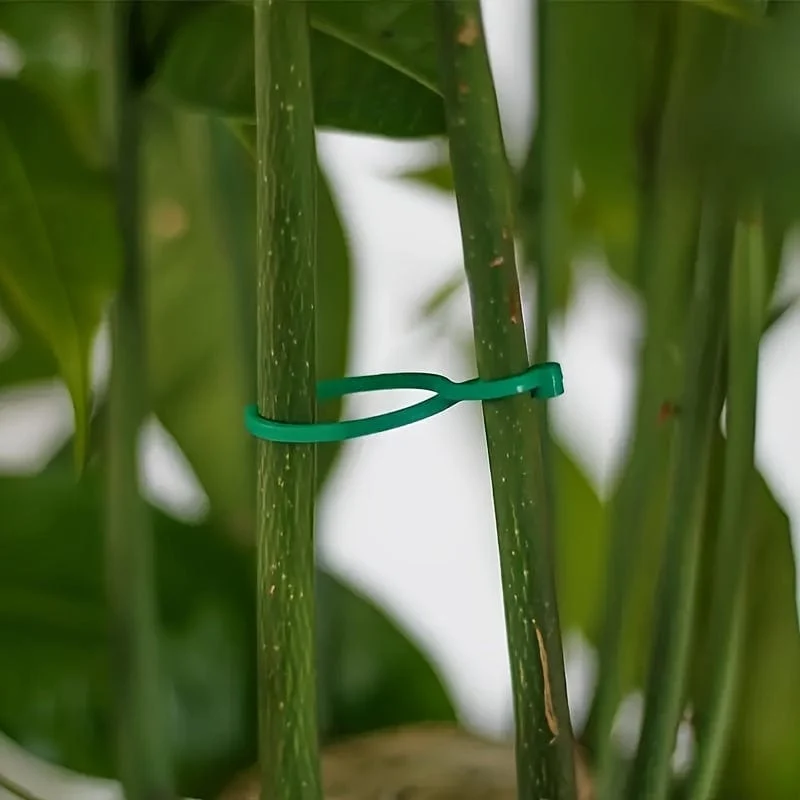 50 Stück, Gemüse-Tomaten-Ranken-Blumenklammern, Pflanzendrehklammern, Gartenpflanzen-Stützklammern, Pflanzenklammern und Gartenklammern für andere Weinpflanzen, für Kletterpflanzen, zum Sichern von Pflanzen