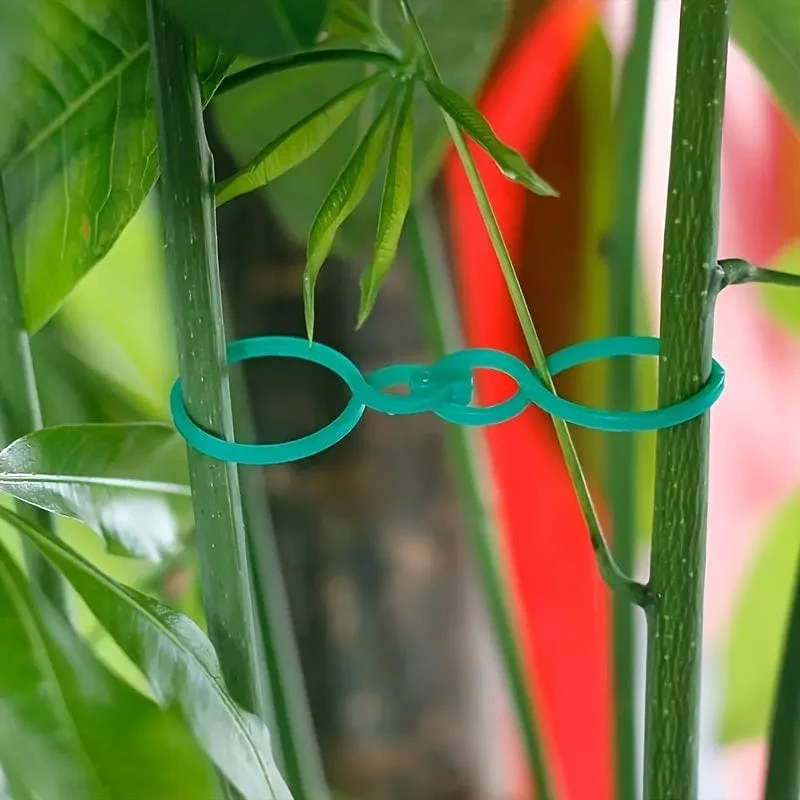 50 Stück, Gemüse-Tomaten-Ranken-Blumenklammern, Pflanzendrehklammern, Gartenpflanzen-Stützklammern, Pflanzenklammern und Gartenklammern für andere Weinpflanzen, für Kletterpflanzen, zum Sichern von Pflanzen