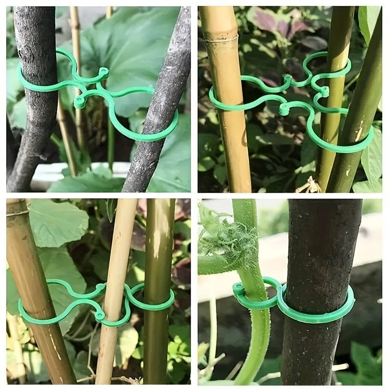 50 Stück, Gemüse-Tomaten-Ranken-Blumenklammern, Pflanzendrehklammern, Gartenpflanzen-Stützklammern, Pflanzenklammern und Gartenklammern für andere Weinpflanzen, für Kletterpflanzen, zum Sichern von Pflanzen