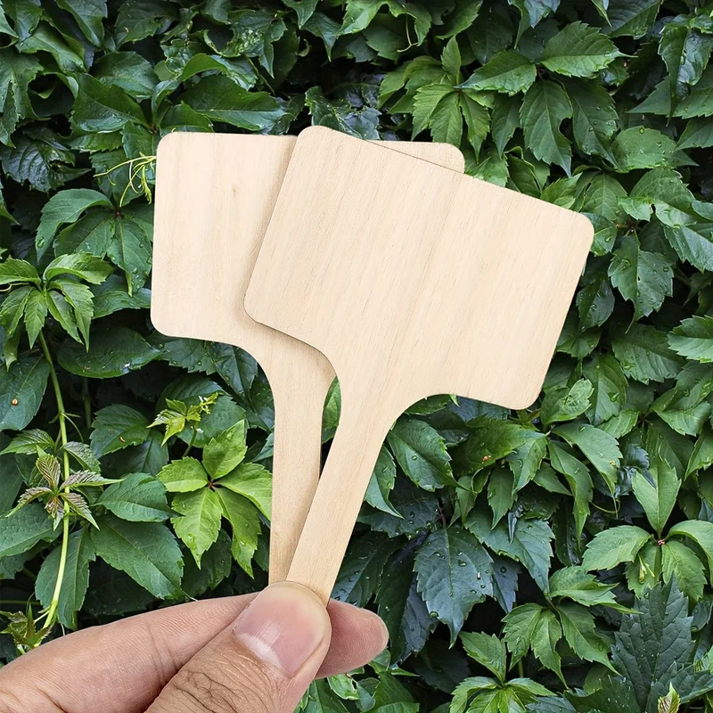 20 Stück, Bambus-Pflanzenetiketten, T-Typ, Holz-Pflanzenschilder, Gartenmarkierungen für Samen, Töpfe, Kräuter, Blumen, Gemüse (6 x 10 cm)