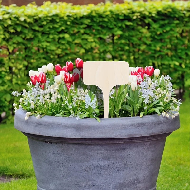 20 Stück, Bambus-Pflanzenetiketten, T-Typ, Holz-Pflanzenschilder, Gartenmarkierungen für Samen, Töpfe, Kräuter, Blumen, Gemüse (6 x 10 cm)