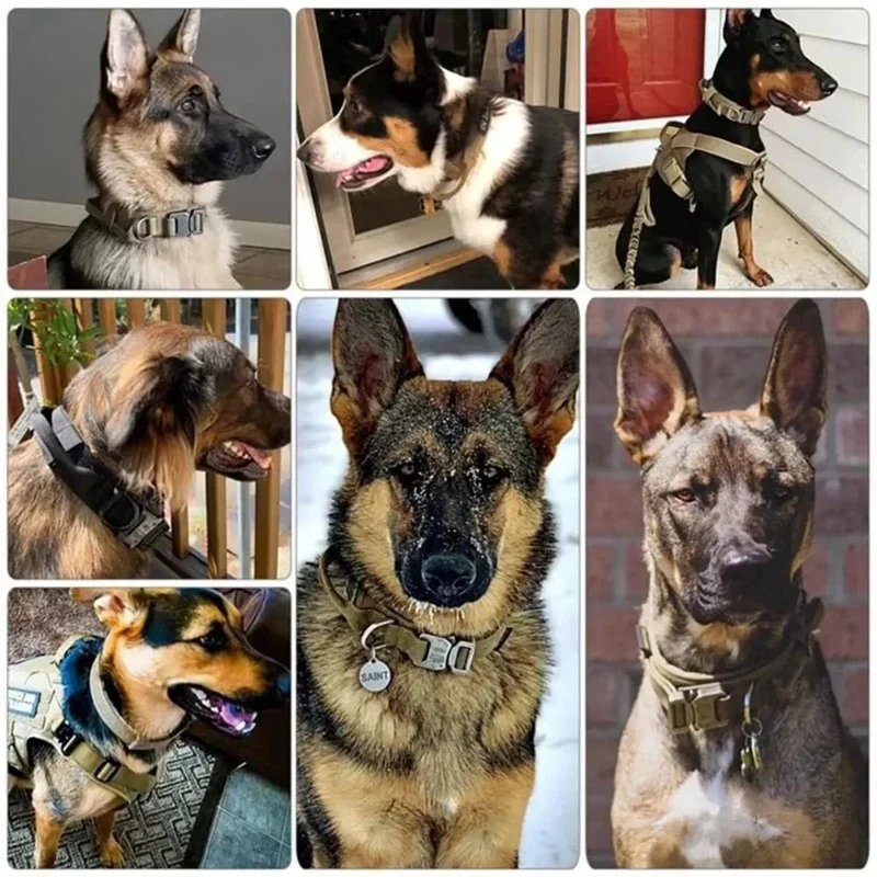 Taktisches Polizei-Hundehalsband, militärisch, verstellbar, strapazierfähiges Nylon, Deutscher Schäferhund, für mittelgroße und große Walking-Trainings-Haustierzubehör