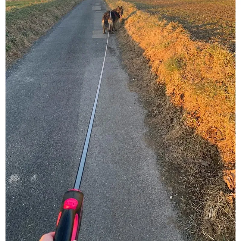 3 m 5 m 8 m 50 kg Hundeleine, einziehbares Roulette-Halsband für kleine große Hunde, Zubehör, verstellbar, langlebig, zum Spazierengehen, Wandern, Bulldoggenseil