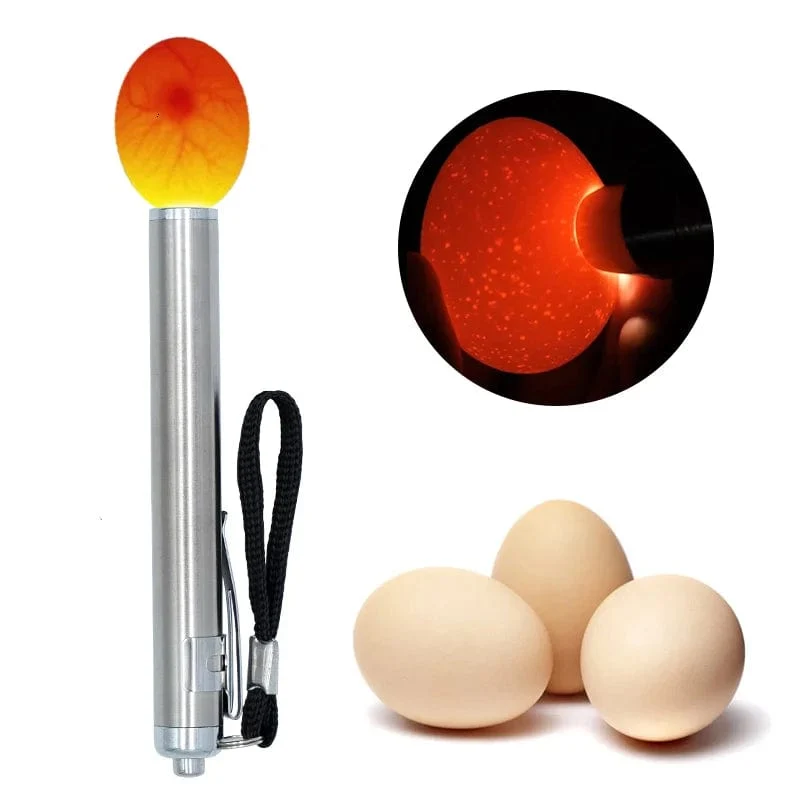 Inkubator Eierprüfer Ei Durchleuchten Lampe LED Super Kalt Ausrüstung Inkubation Werkzeug Für Huhn Wachteleier Inkubation Werkzeuge