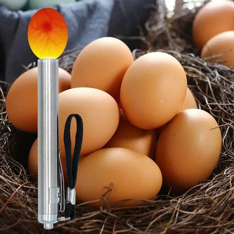 Inkubator Eierprüfer Ei Durchleuchten Lampe LED Super Kalt Ausrüstung Inkubation Werkzeug Für Huhn Wachteleier Inkubation Werkzeuge
