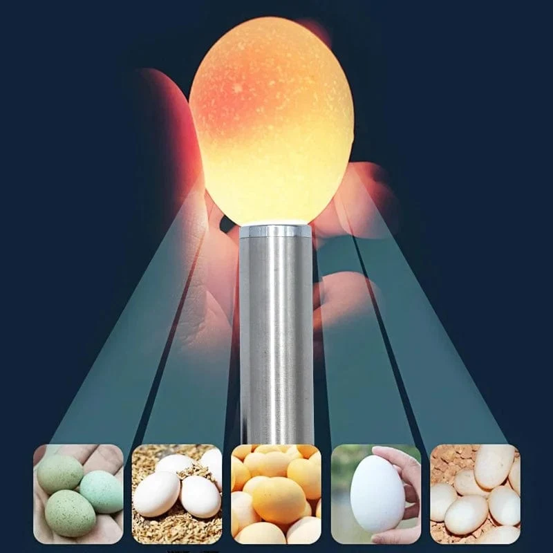 Inkubator Eierprüfer Ei Durchleuchten Lampe LED Super Kalt Ausrüstung Inkubation Werkzeug Für Huhn Wachteleier Inkubation Werkzeuge