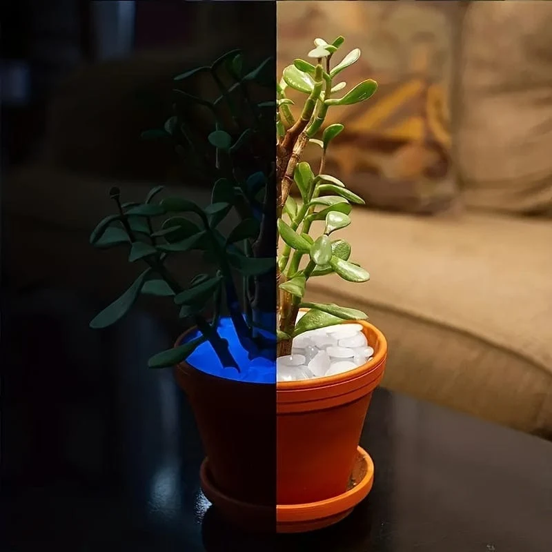 100 Stück weiß leuchtende Kieselsteine, leuchtende Steine ​​für Aquarien, bunte leuchtende Steine ​​für Gartendekoration, im Dunkeln leuchtende Kieselsteine ​​für Vasen, Bonsai-Außendekoration
