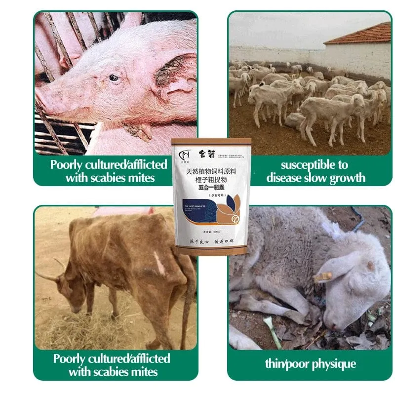 Nutztiere Geflügel Schweine Hühner Flöhe Zecken blutsaugende Würmer innere und äußere Entwurmung und entzündungshemmend 100 Tabletten