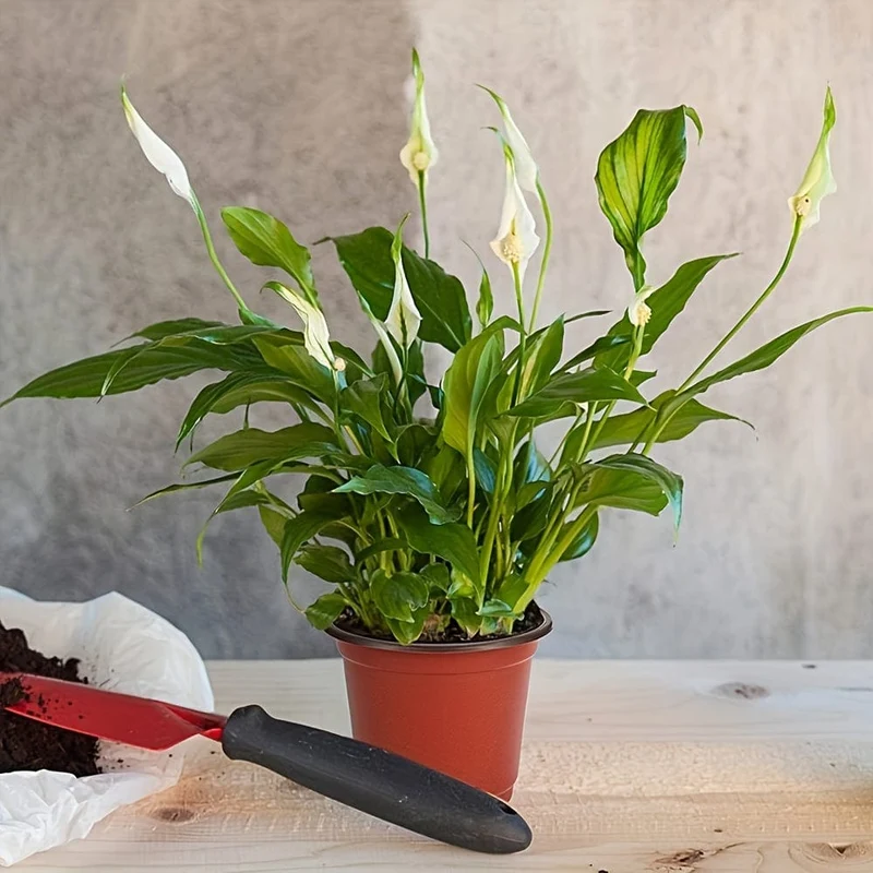 100 Stück, Blumentöpfe, Samen-Starttöpfe, Setzling-Blumen-Pflanzbehälter, Gartenbedarf, Pflanztöpfe, Gartenpflanzen-Anzuchttöpfe, atmungsaktive Filz-Pflanzenanzucht-Pflanzentöpfe, Gartenanzuchtzubehör