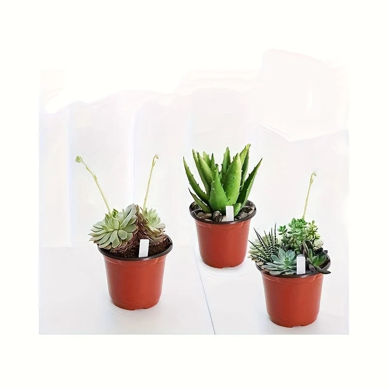 100 Stück, Blumentöpfe, Samen-Starttöpfe, Setzling-Blumen-Pflanzbehälter, Gartenbedarf, Pflanztöpfe, Gartenpflanzen-Anzuchttöpfe, atmungsaktive Filz-Pflanzenanzucht-Pflanzentöpfe, Gartenanzuchtzubehör