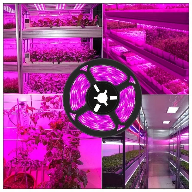1 Stück, Pflanzenwachstumslampe, UV-Phytolampe, Pflanze, Blume, Gewächshaus, Anbau, Hydrokulturlampe, 5 V, LED, USB, Wachstumslicht, Vollspektrum-Wachstumslampe, nicht wasserdicht