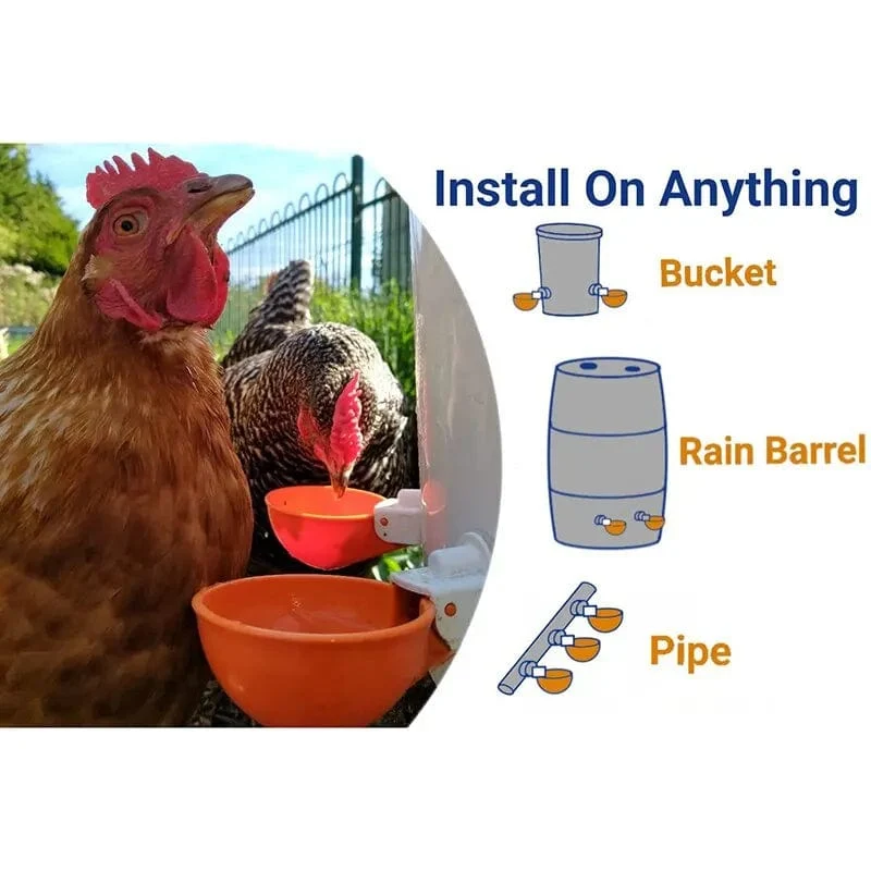5 Pcs Huhn Trinker Automatische Geflügel Trinker Automatische Huhn Trinker Schalen Für Vögel Geflügel