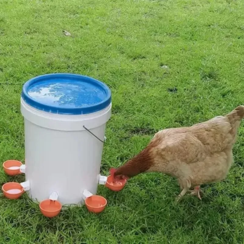 5 Pcs Huhn Trinker Automatische Geflügel Trinker Automatische Huhn Trinker Schalen Für Vögel Geflügel