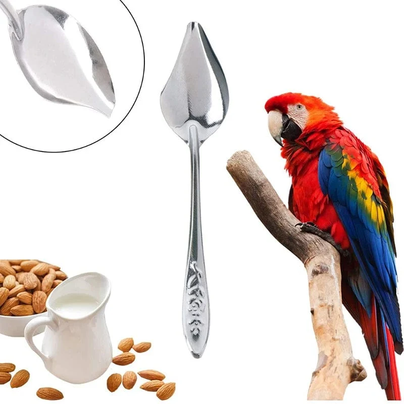 10ml 20ml 50ml Papageienfütterungsspritze Schlauch Papageien Vogelfutterspender Spritze Hochwertige Vogelfutterspender Balkon Spritze Schlauch Nadel