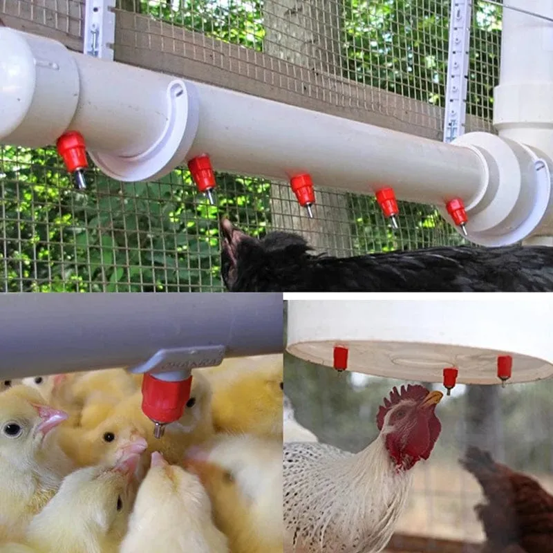 Hühnertränke Nippeltränken Wachtel Taube Vogeltränke Nippel Automatische Wasserfeder Typ Geflügelzuchtgeräte