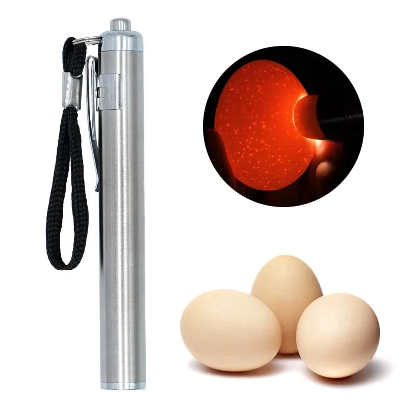 1 Stück Eier-Scherlampe, hochintensives, kühles LED-Licht, wiederaufladbar, für alle Arten von Eiern, Brut- oder Inkubator-Monitor