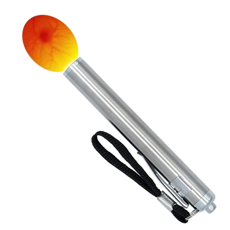 1 Stück Eier-Scherlampe, hochintensives, kühles LED-Licht, wiederaufladbar, für alle Arten von Eiern, Brut- oder Inkubator-Monitor
