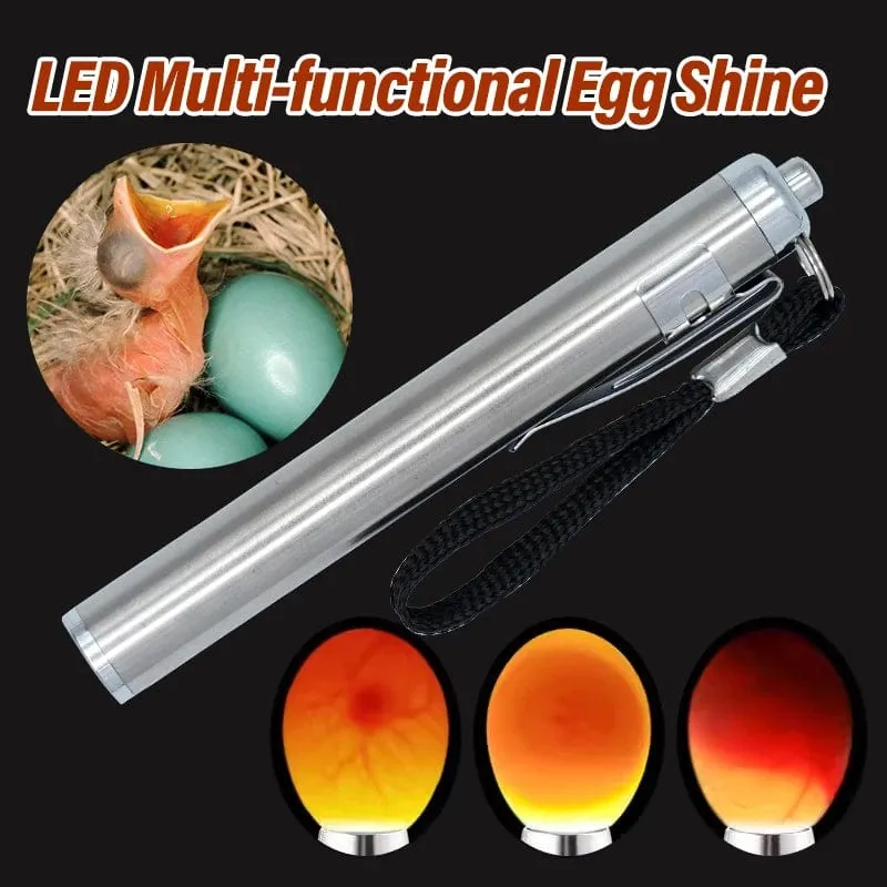 1 Stück Eier-Scherlampe, hochintensives, kühles LED-Licht, wiederaufladbar, für alle Arten von Eiern, Brut- oder Inkubator-Monitor