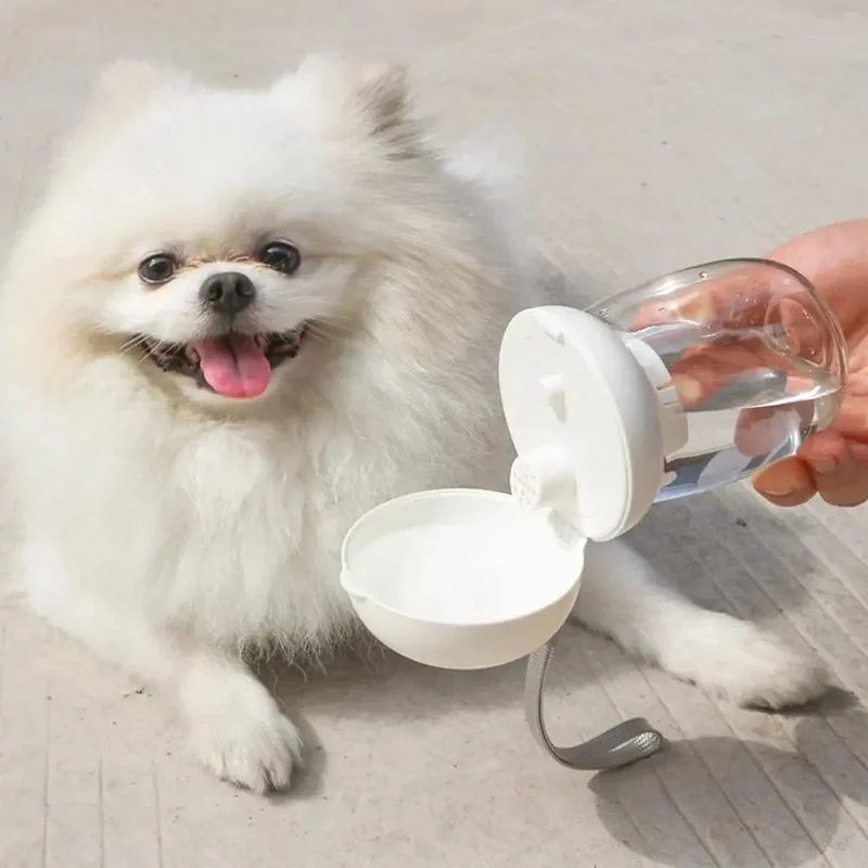 300ml Tragbare Haustier-Wasserflasche Outdoor-Reise-Trinkbecher Futternapf mit Trageband für kleine und mittelgroße Katzen Hunde Heimtierbedarf
