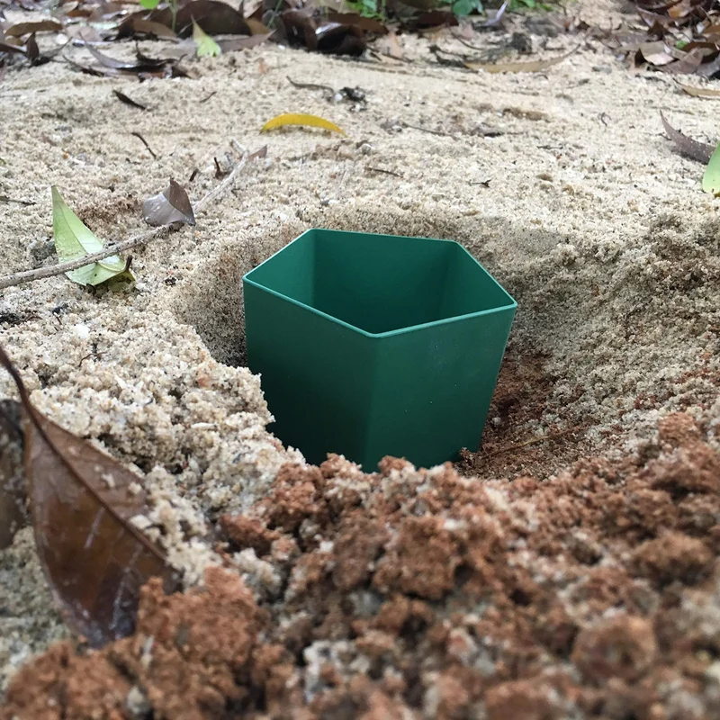 1 Stück Schneckenkontroller Schneckenkäfig Insektenfalle Garten Reptilienfalle Gemüsegarten Kunststoff-Insektenfalle, Schädlingsbekämpfung, Gartenwerkzeug