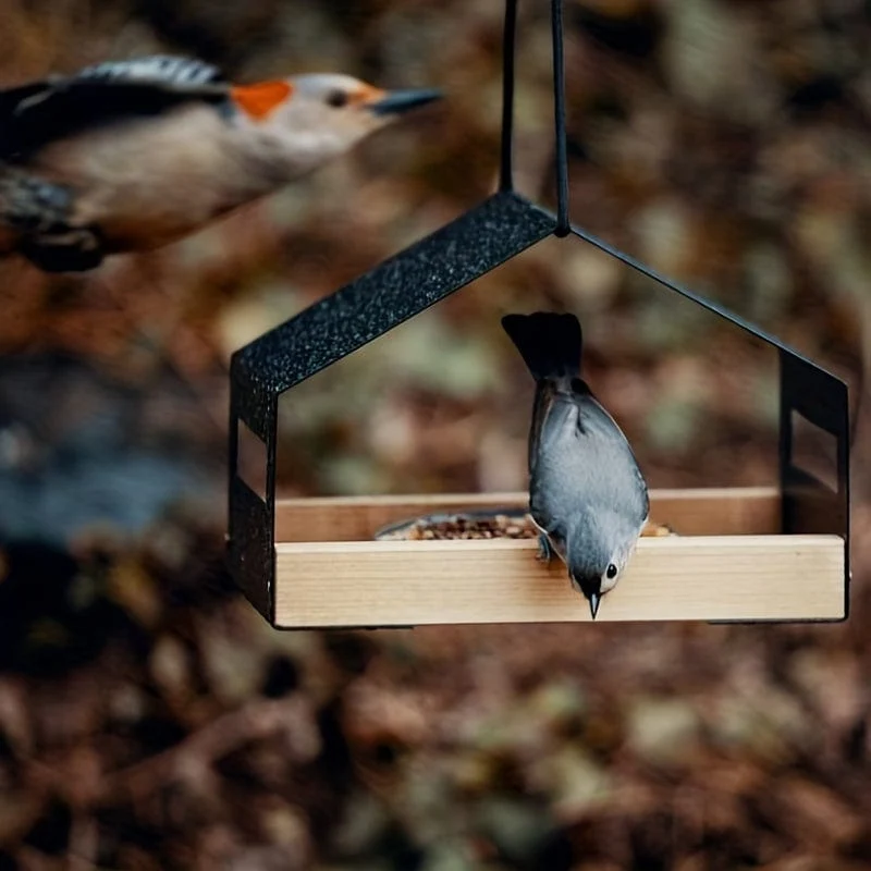 1 Stück Outdoor-Gartenarbeit hängendes Vogelhaus, Vogelnest, Gartendekoration, Kolibri-Futterspender, Hinterhof-Vogelbeobachtungs- und Wildtierbedarf
