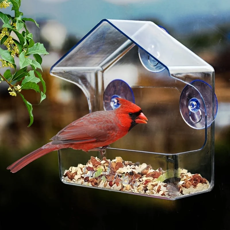 1 Stück Fenster-Vogelfutterspender für draußen, transparente Kunststoff-Fenster-Vogelfutterspender mit starken Saugnäpfen, transparenter Vogelfutterhalter, Heimfenster-Vogelhaus