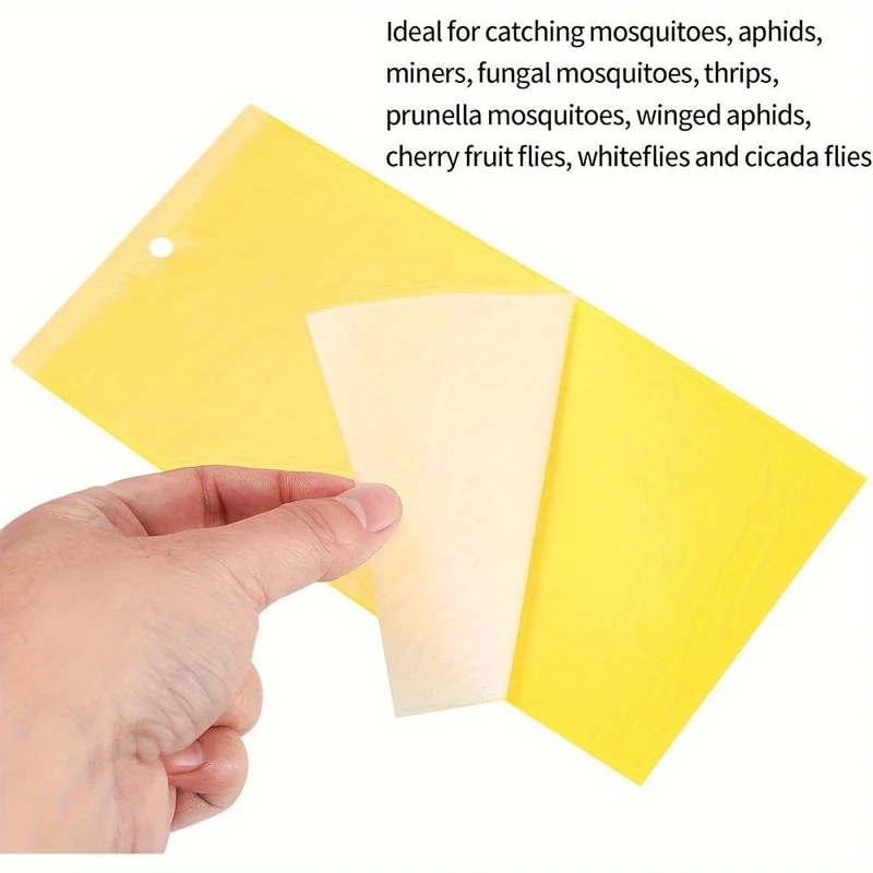 50 Stück, großes Insekten-Klebe-Fliegenfallen-Papier-Set, Klebefänger, Killer-Insekten, Käfer, Fliegen, Innen- und Außen-Insektenfallen, Innen-Außen-Haus, Küche, Pflanzen, Bäume, fliegende Insekten, Schädlingsbekämpfung