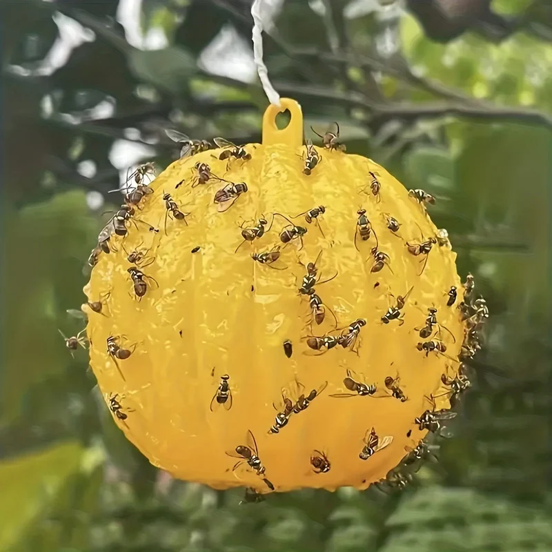 1 Stück/6 Stück Fruchtfliegenfallen, klebrige Fallen, Mückenfallen, fliegende Insekten, Fallen, Kugel für drinnen und draußen, Haus, Küche, Pflanzen, Bäume, fliegende Insekten, Schädlingsbekämpfung