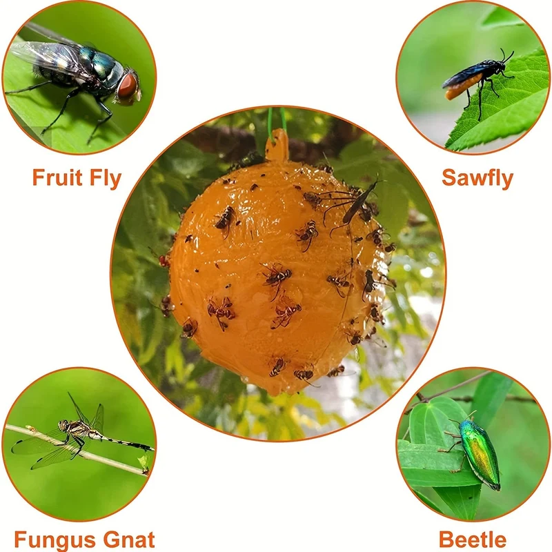 1 Stück/6 Stück Fruchtfliegenfallen, klebrige Fallen, Mückenfallen, fliegende Insekten, Fallen, Kugel für drinnen und draußen, Haus, Küche, Pflanzen, Bäume, fliegende Insekten, Schädlingsbekämpfung