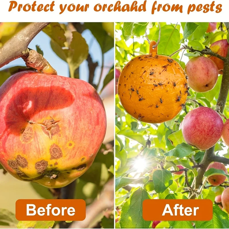 1 Stück/6 Stück Fruchtfliegenfallen, klebrige Fallen, Mückenfallen, fliegende Insekten, Fallen, Kugel für drinnen und draußen, Haus, Küche, Pflanzen, Bäume, fliegende Insekten, Schädlingsbekämpfung