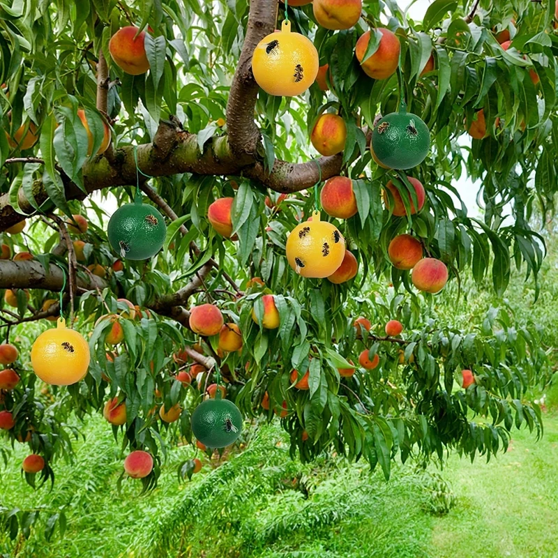 1 Stück/6 Stück Fruchtfliegenfallen, klebrige Fallen, Mückenfallen, fliegende Insekten, Fallen, Kugel für drinnen und draußen, Haus, Küche, Pflanzen, Bäume, fliegende Insekten, Schädlingsbekämpfung