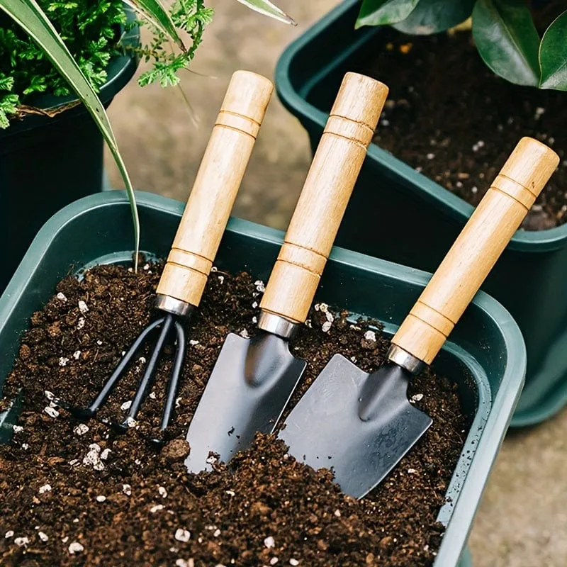 3 Stück/Set, Gartenwerkzeug-Set, Rechenspitze, Schaufel, große Gartenarbeit, Mini-Sukkulentenpflanze, lose Erde, Blumenschaufel, Gartenzubehör aus Aluminiumlegierung mit Griff zum Graben im Garten, Handwerkzeuge, Gartenwerkzeug-Set