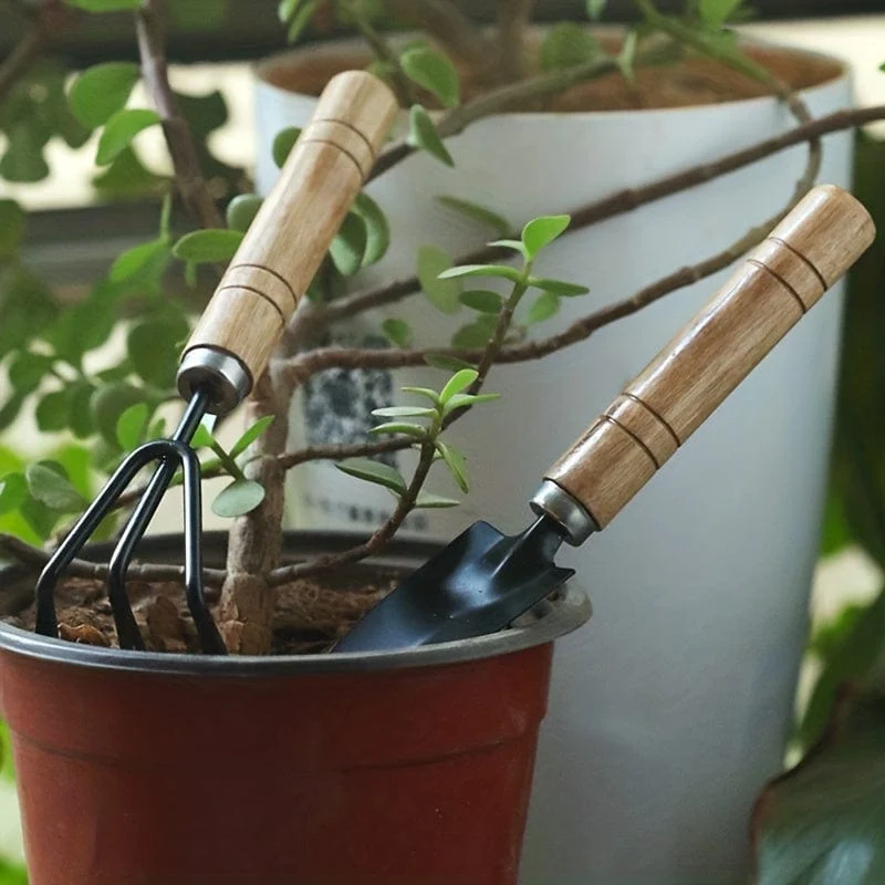 3 Stück/Set, Gartenwerkzeug-Set, Rechenspitze, Schaufel, große Gartenarbeit, Mini-Sukkulentenpflanze, lose Erde, Blumenschaufel, Gartenzubehör aus Aluminiumlegierung mit Griff zum Graben im Garten, Handwerkzeuge, Gartenwerkzeug-Set