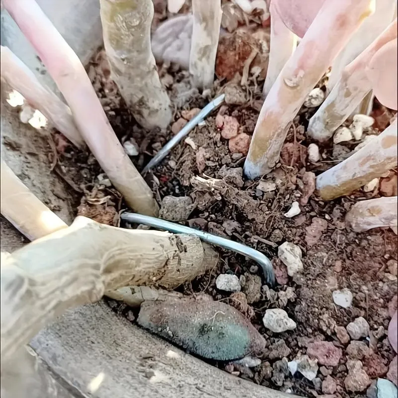 15/25 Stück verzinkte Garten-Landschaftsnadeln, U-förmige Rasenstoff-Landschaftsnadeln für sicheren Garten-Blumenpflanzenbedarf, Gartenbalkon-Pflanzbedarf, Pflanzgefäße und Behälterzubehör