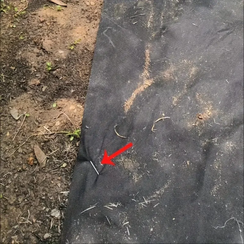 15/25 Stück verzinkte Garten-Landschaftsnadeln, U-förmige Rasenstoff-Landschaftsnadeln für sicheren Garten-Blumenpflanzenbedarf, Gartenbalkon-Pflanzbedarf, Pflanzgefäße und Behälterzubehör