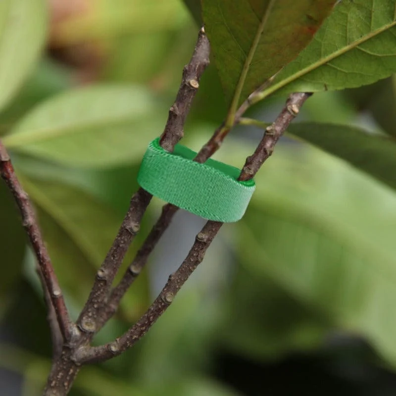 1 Rolle, grünes Gartenband für Pflanzen, Garten-Pflanzenbinder, 1 cm breit, wiederverwendbares Gartenband, Pflanzenstütze für Kletterpflanzen, Blumen, Weinreben, Tomatenbinder, verstellbar