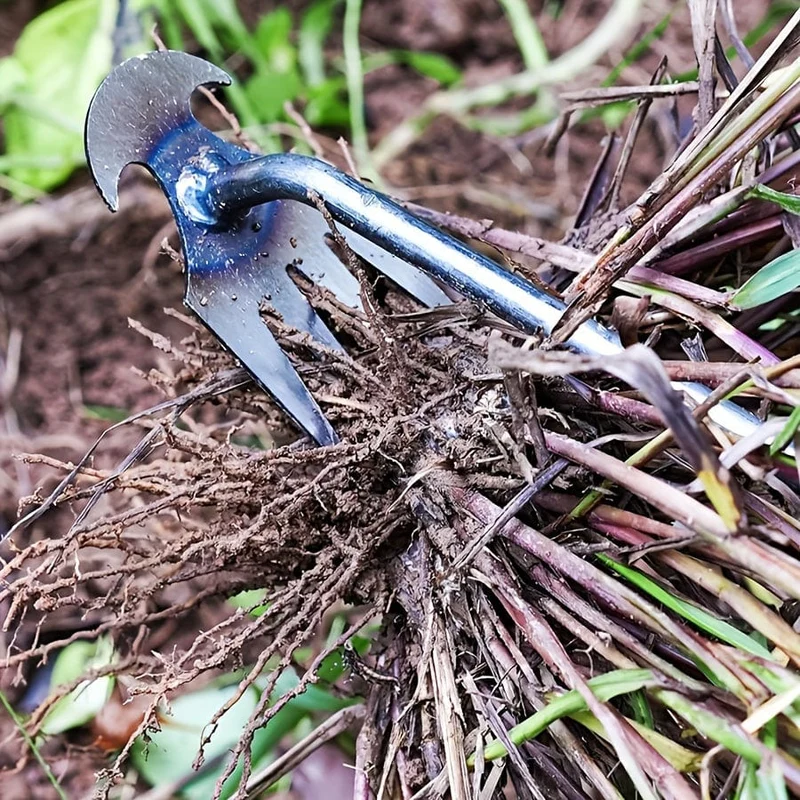 1 Stück kleiner Unkrautstecher mit 4 Zähnen, Gartenhandwerkzeuge, Unkrautentferner-Werkzeug für den Garten. Ergonomisches Unkrautstecher-Werkzeug (der Griff kann selbst verlängert werden) – Stand-Unkrautstecher für mühelose Rasen- und Gartenpflege.