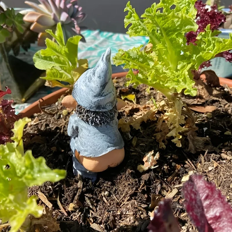 Verleihen Sie Ihrem Garten einen Hauch von Laune mit dieser entzückenden frechen Knome-Statue!