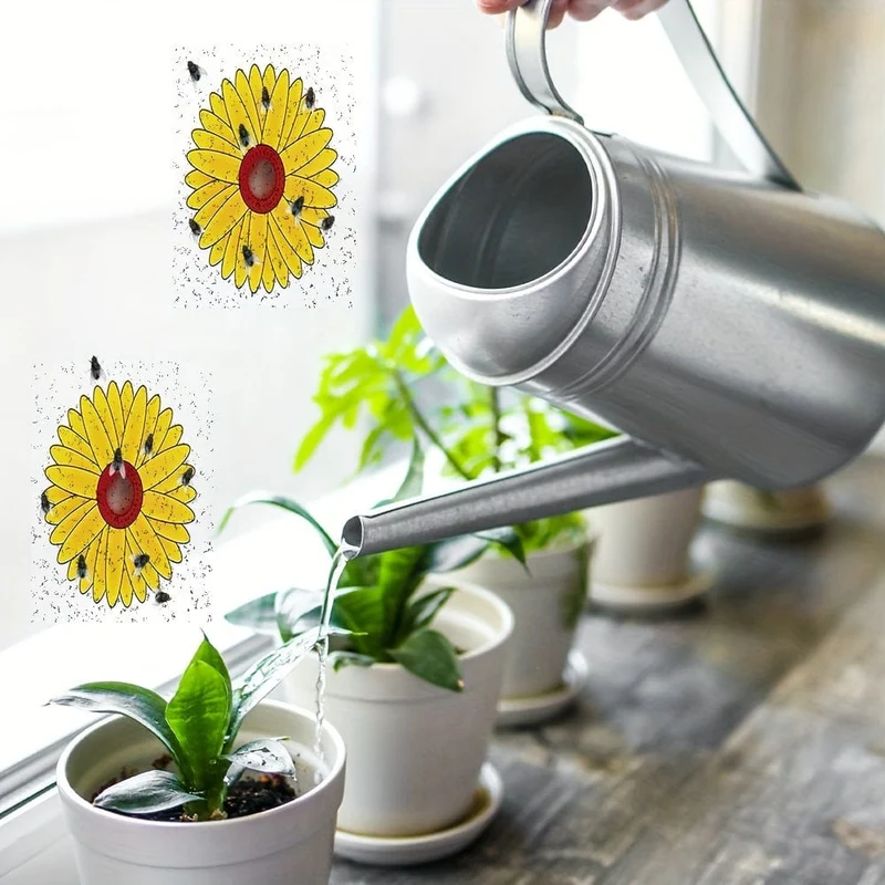 6 Stück, Fenster-Fliegenfallen für den Innenbereich, Sonnenblumen-Fliegenfänger, Fenster-Fliegenaufkleber, klebrige Fenster-Insektenfalle für den Innen- und Außenbereich, Insektenfallen für den Innen- und Außenbereich, Innen- und Außenbereich, Haus, Küche, Pflanzen, Bäume, fliegende Insekten, Schädlingsbekämpfung