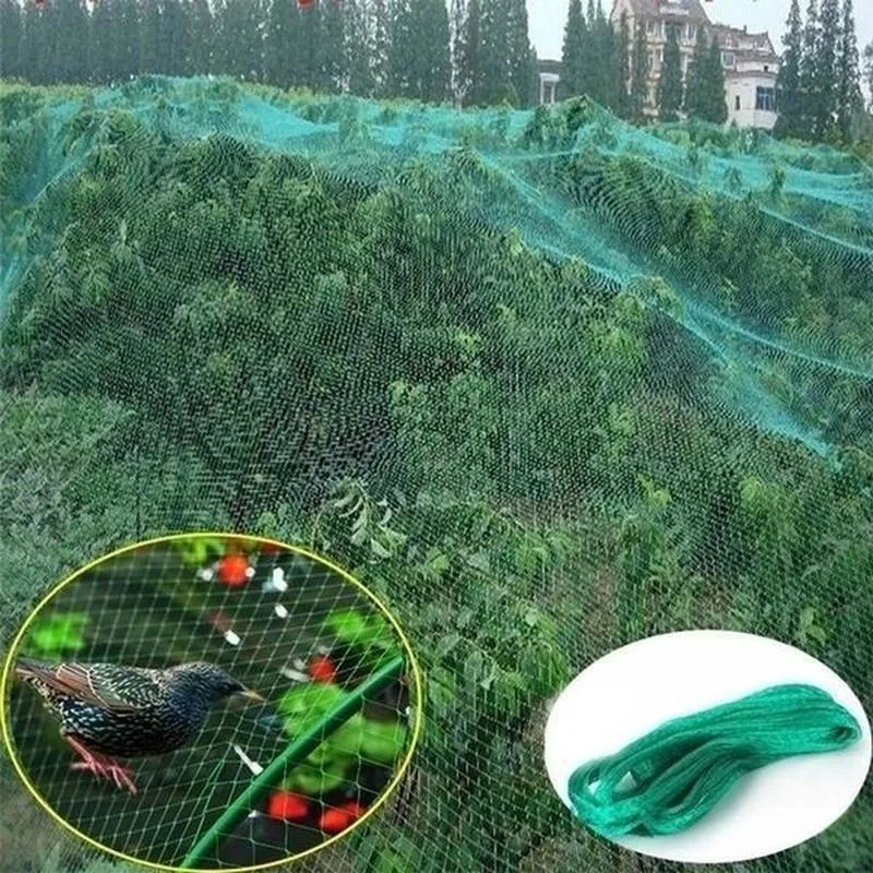 Schützen Sie Ihre Pflanzen, Früchte, Bäume und Gemüse mit einem 1-teiligen Vogelschutznetz, Hirschzaun-Teichnetz!