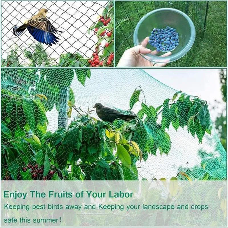 Schützen Sie Ihre Pflanzen, Früchte, Bäume und Gemüse mit einem 1-teiligen Vogelschutznetz, Hirschzaun-Teichnetz!
